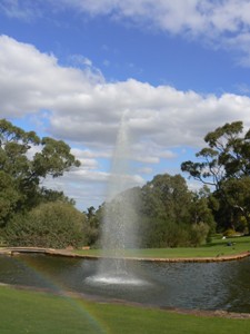 Tall fountains in King's Park, Perth