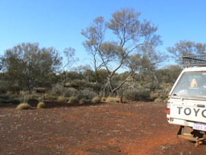 First night's campsite