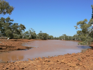 Savory Creek