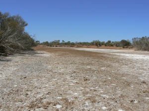 Dry stretch of Savory Creek