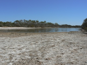 Dry stretch of Savory Creek, showing start of water